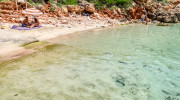 escanutells__06.jpg
